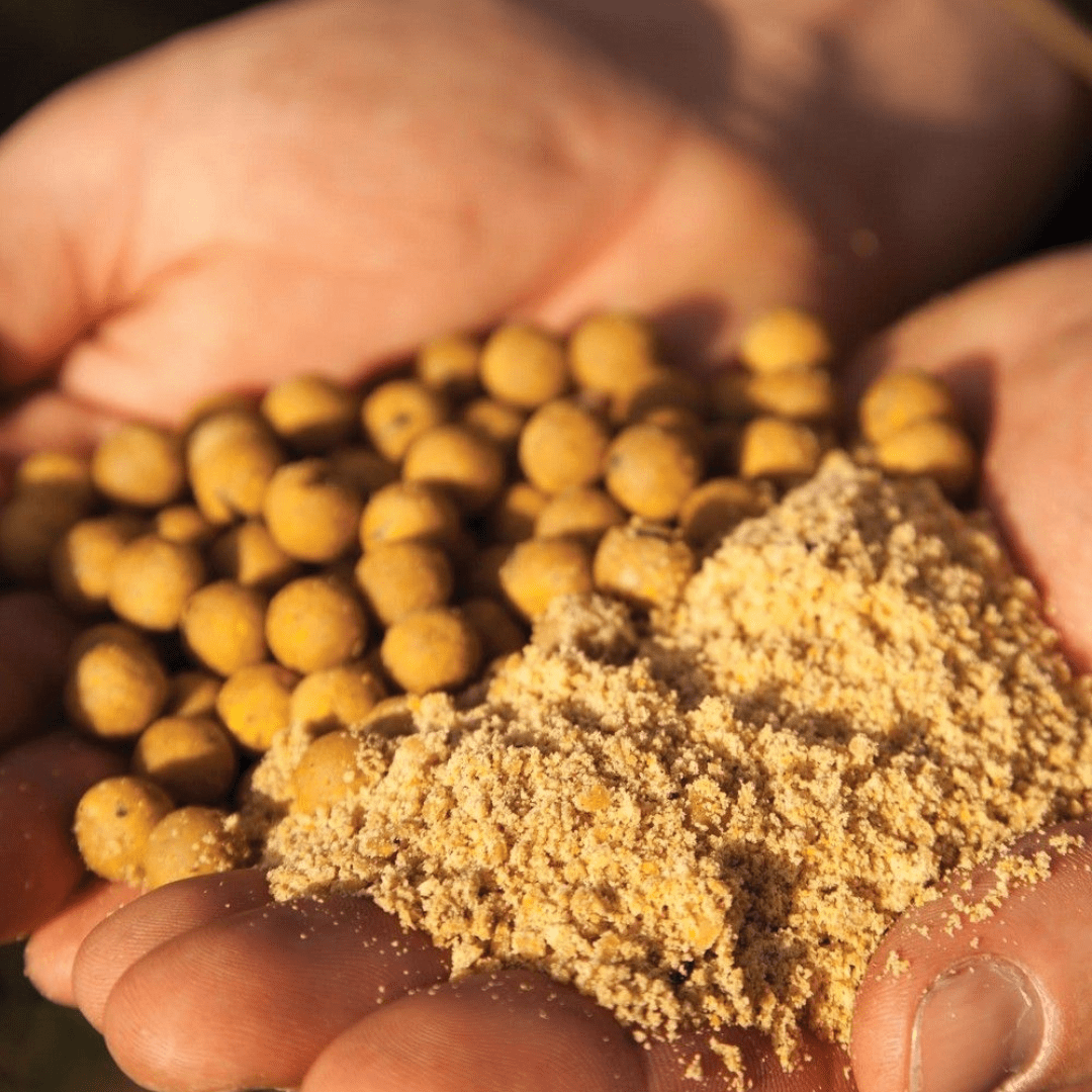 Cebos de Carpfishing