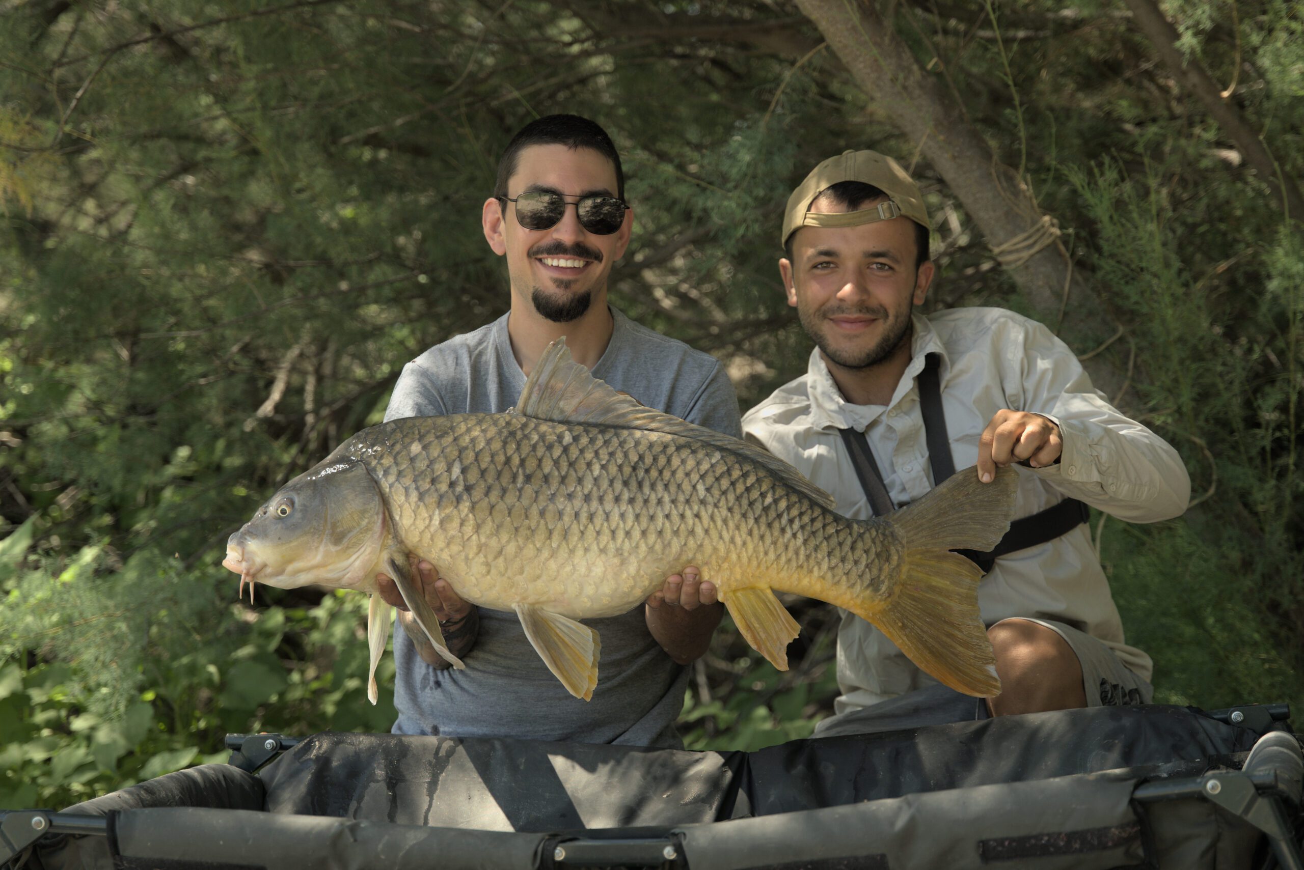 Guía de pesca de carpa