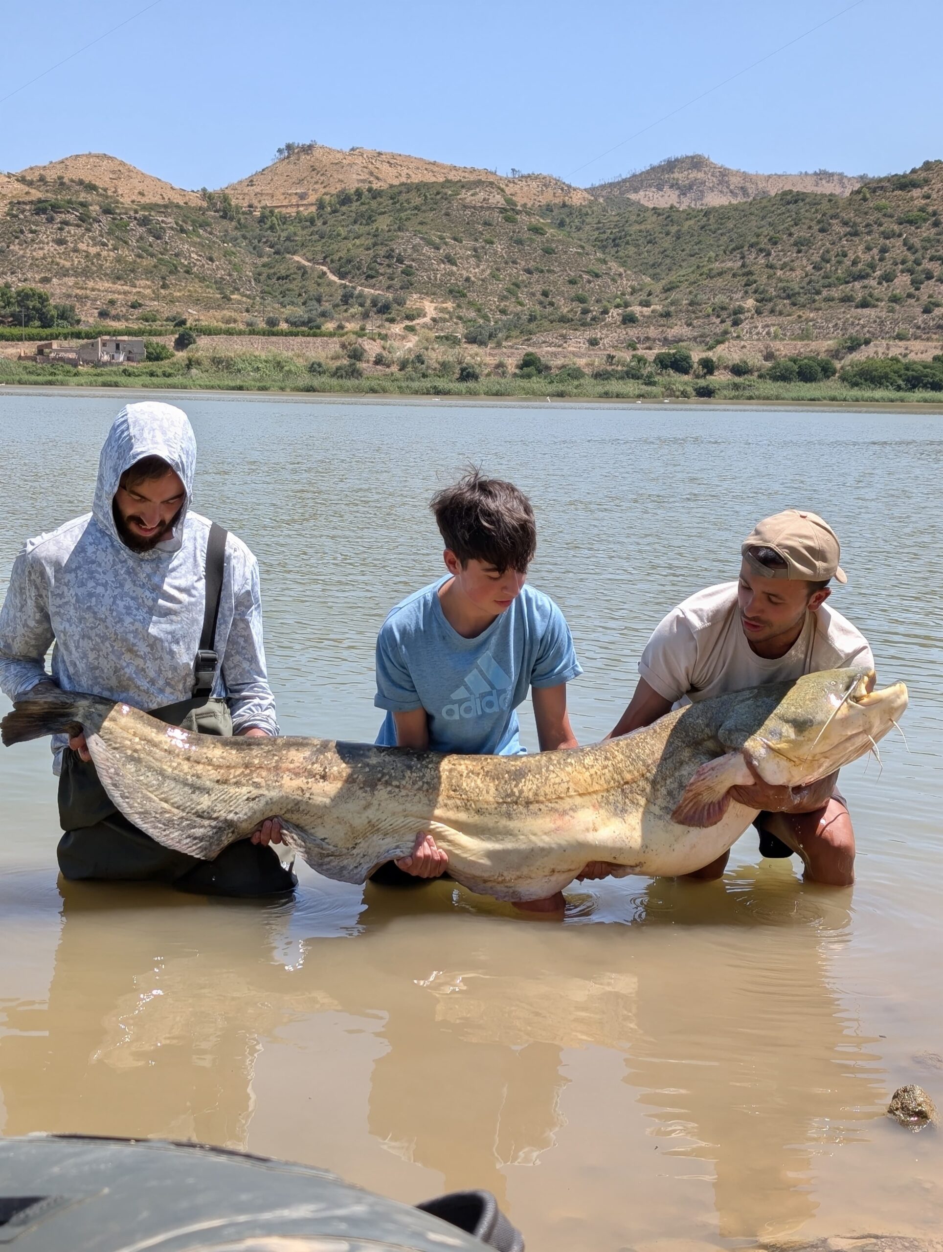 Guía de pesca de siluro