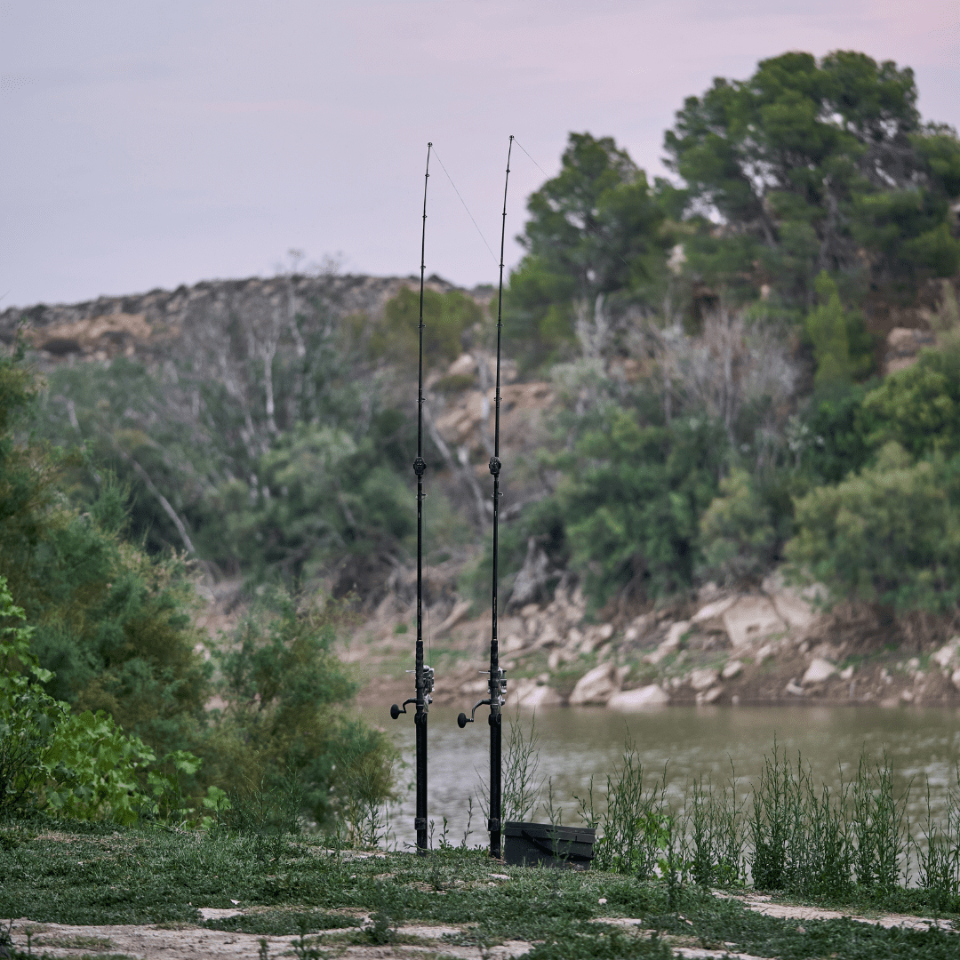 Guía de pesca en finca en el Ebro y comidas